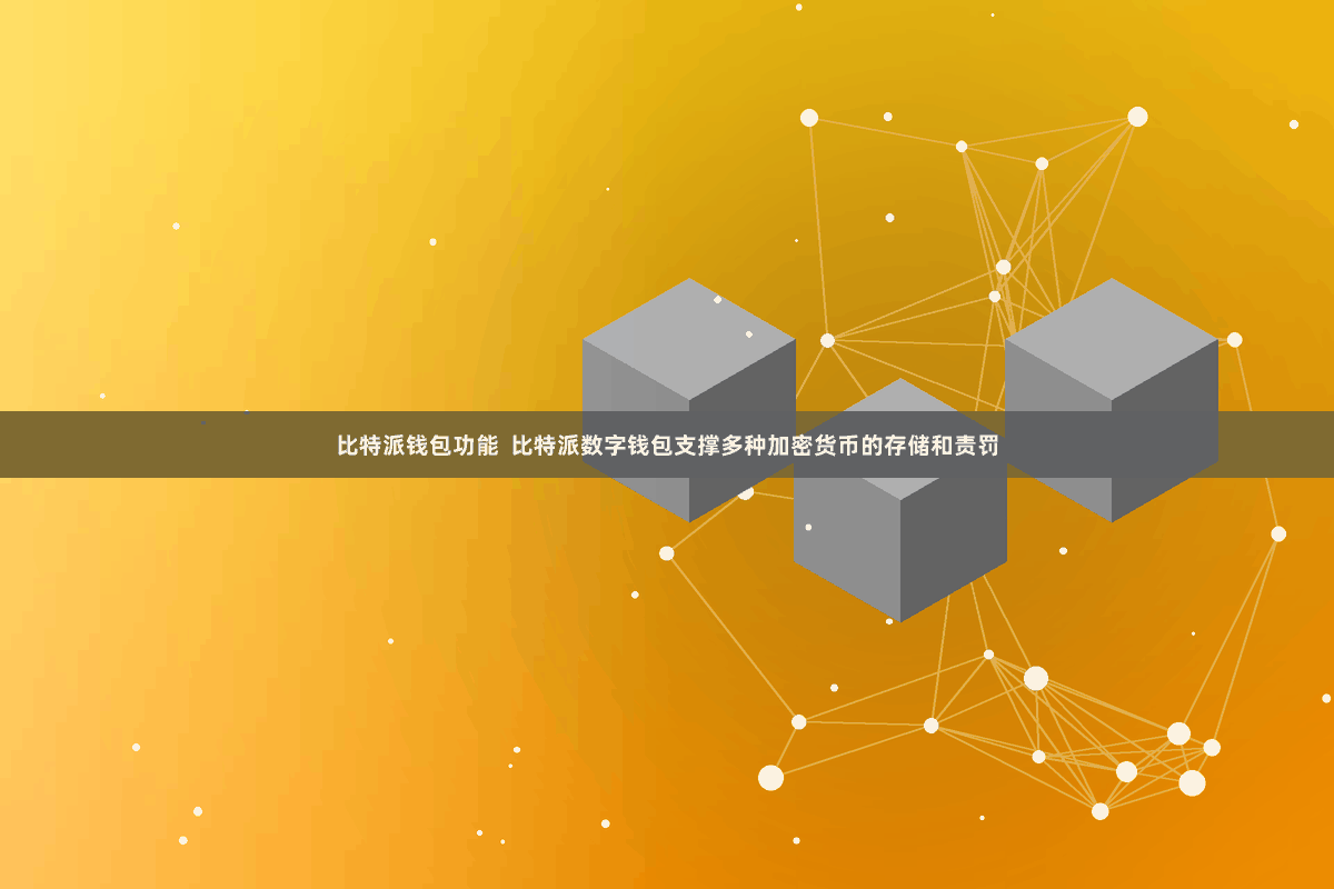 比特派钱包功能 比特派数字钱包支撑多种加密货币的存储和责罚